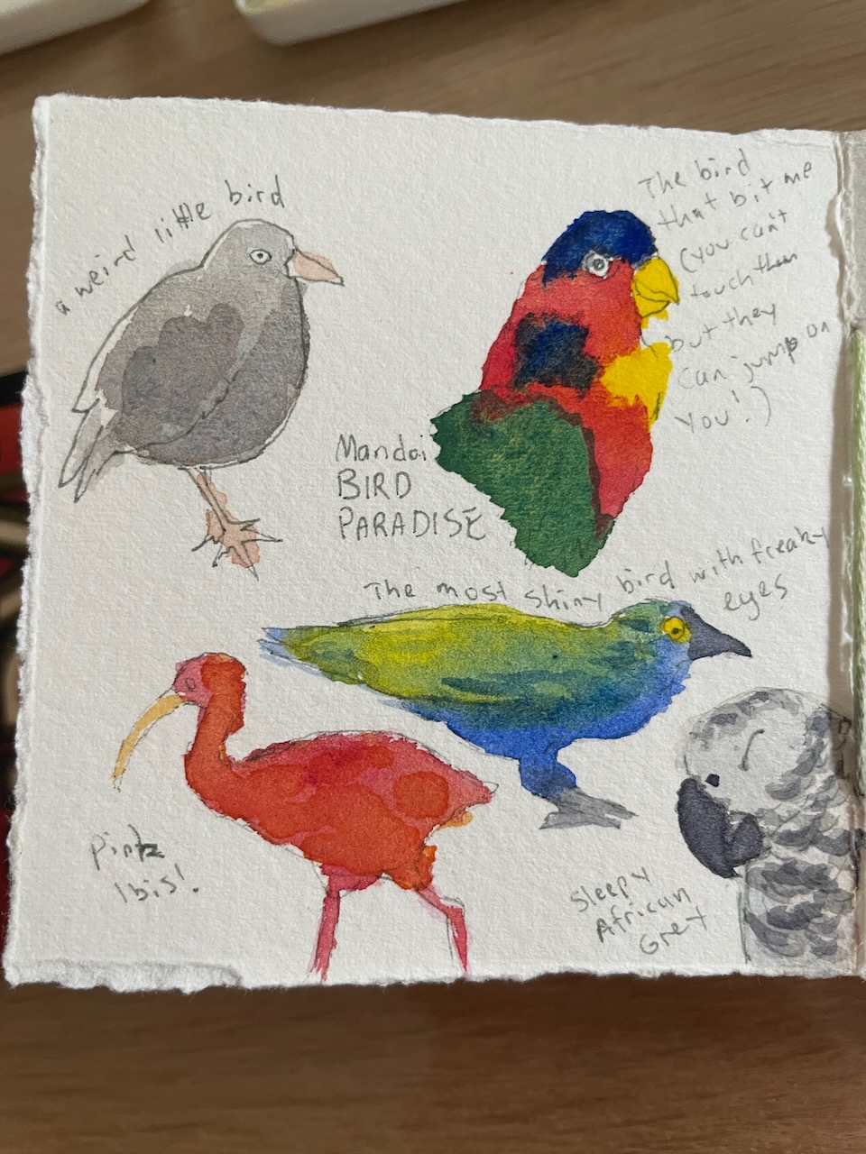 2025-08-21_15-25-16_Painting - birds.jpeg